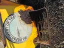 Backhoe/Loader - Ford 555E
