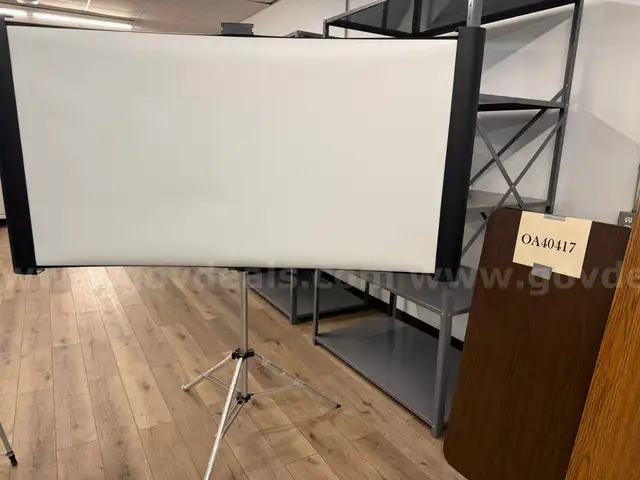 Projector screen, portable and easel
