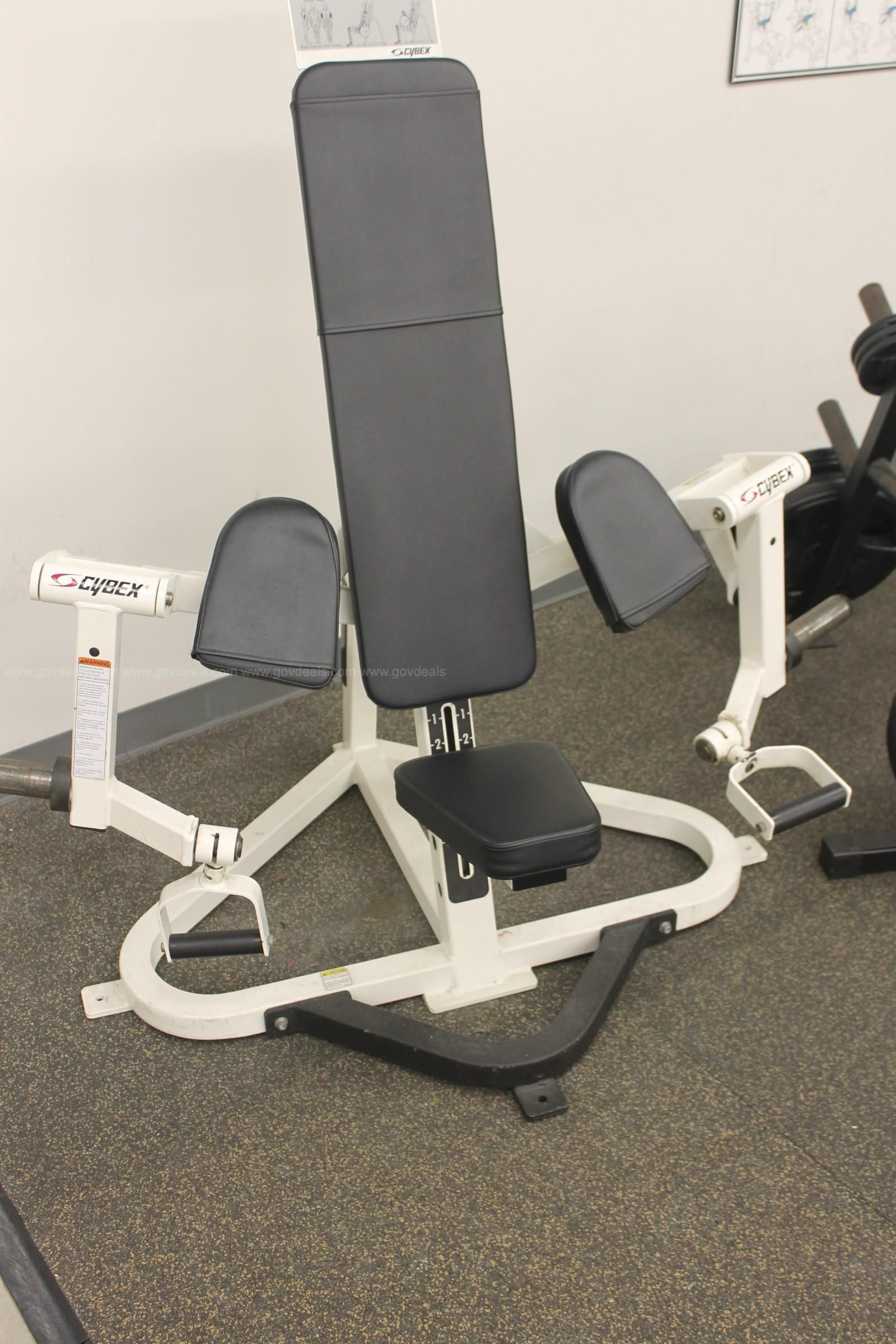 Cybex arm curl online machine