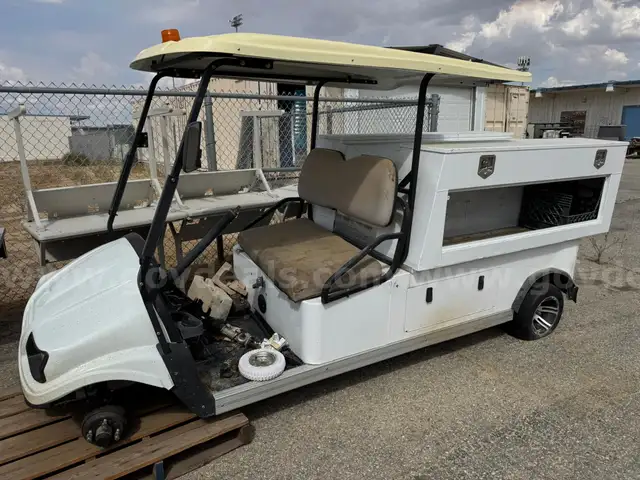 CRUISE CAR UTILITY CART (2)