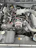 2007 Ford Crown Victoria (general fund)
