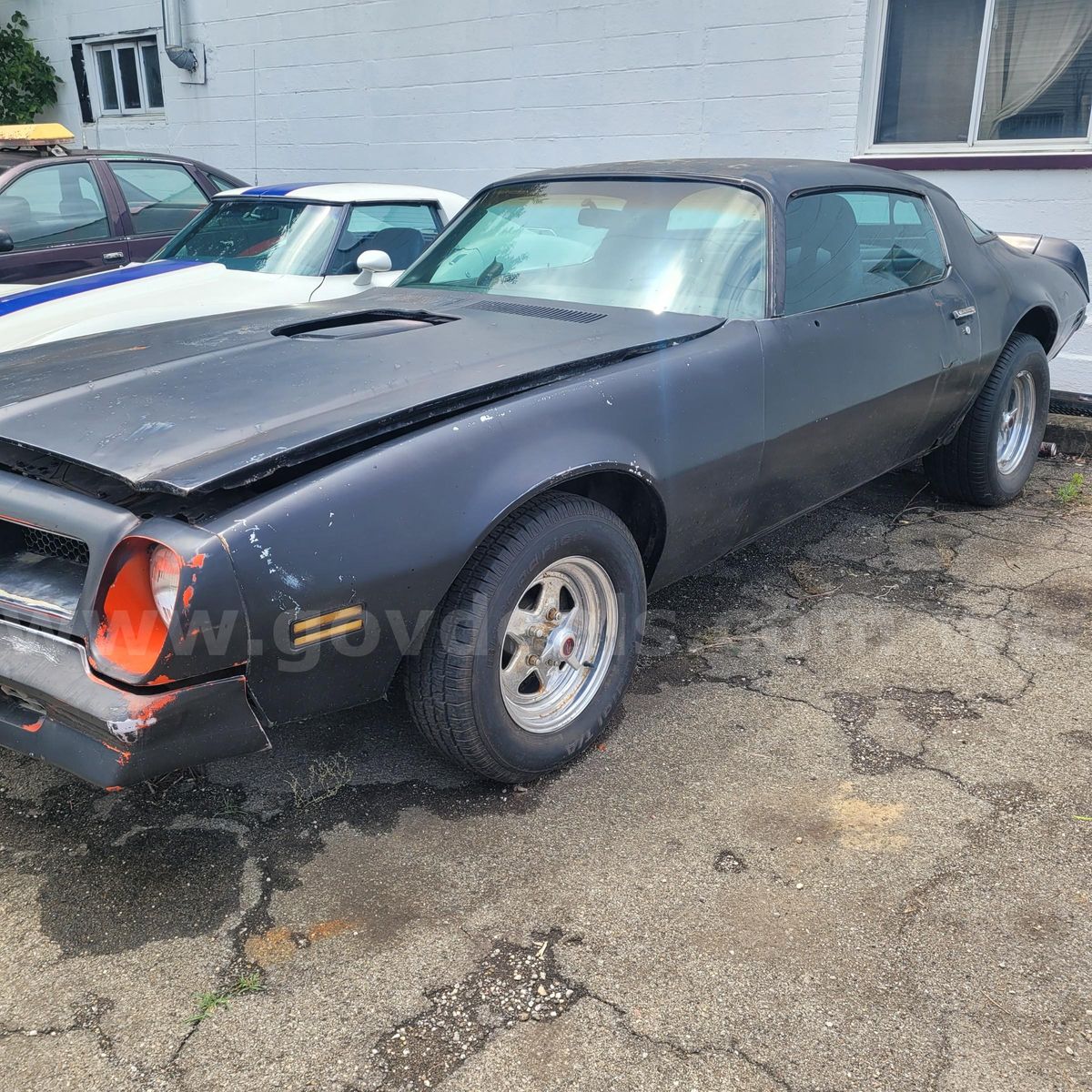 1975 Pontiac Trans AM | GovDeals