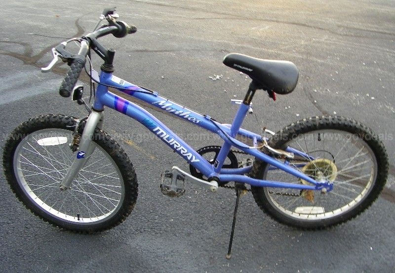 Murray mountain bike 21 speed online