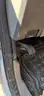 2008 Ford F-350 SD XL DRW 2WD V8 PowerStroke 6.4L Diesel Tool Truck