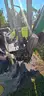 2000 John Deere 4600 HST w/Loader Forks Backhoe Blade ROPS Soft Cab &#x26; Doors