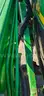 2000 John Deere 4600 HST w/Loader Forks Backhoe Blade ROPS Soft Cab &#x26; Doors
