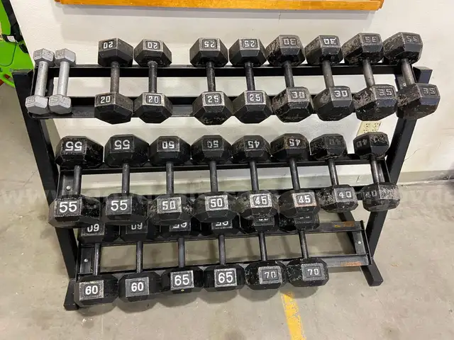 12 pairs Assortment of paired Dumbbells and rack