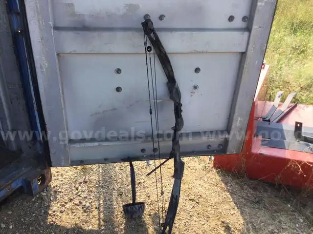 Bear white tail 2 compound Bow (vintage) / Separate Bow case