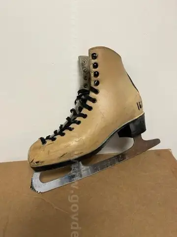 RENTAL SKATES