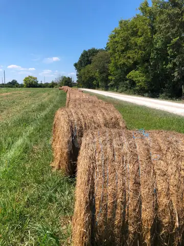 60 Round Hay Bales
