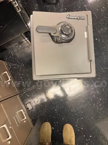 Sentry Safe