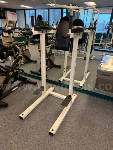 Paramount Dip Station AB Leg Raise Exercise Gym Equipment #E12