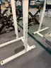 Paramount Dip Station AB Leg Raise Exercise Gym Equipment #E12