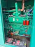 2012 Natural Gas Generator