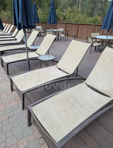 Lot of 35 Chaise Lounge Chairs