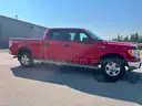 2012 Ford F-150 4WD CREW CAB PICKUP 4-DR, 5.0L V8