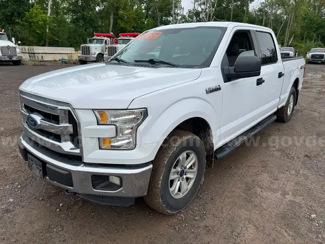 2015 Ford F-150 XLT 4x4 Super Crew Cab Pickup