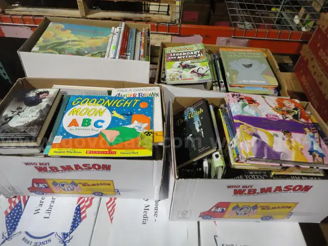 1 Super-Mega Lot Library-Media Center Books