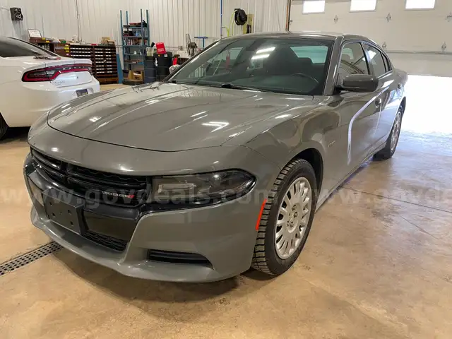 2019 Dodge Charger Pursuit AWD Hemi