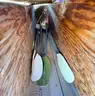 Lot of 6 Kayaks and 5 Paddles