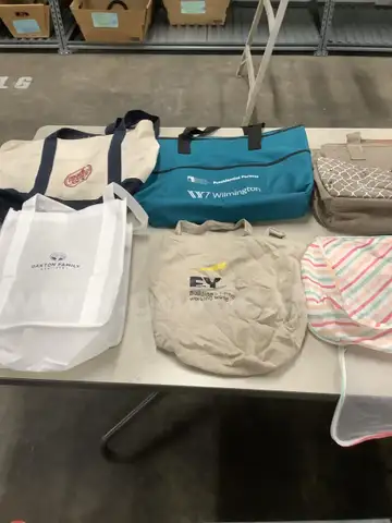 Lot of misc box items-Oakton Family bag, Trader Joe&#x27;s bag, Wilmington Trust bag, multi color striped purse, EY bag,  DH