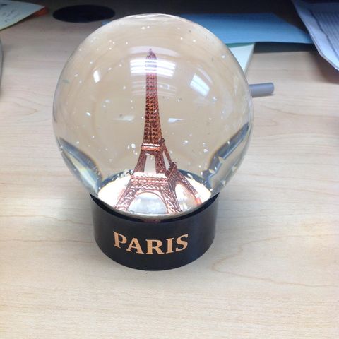 Paris Snow Globe | AllSurplus