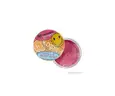 OUTER BANKS Lottie Lip Cheek Balm Kookproof DUSTY PINK Multi-purpose
