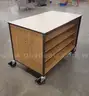 Double-Sided Rolling Cabinet