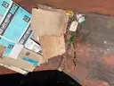 8yd Dumpster