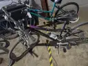 7 bikes