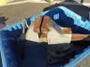 LS STARRETT 924 1/2 MACHINIST VICE (PALMDALE, CA 2554406)