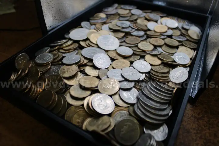 $1 COIN (524)