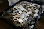 $1 COIN (524)