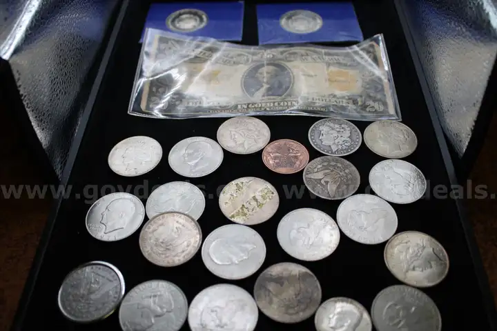 $ 20.00 (1) $1.00 Coin (19) Half Dollar (1) Misc. Coin (4)