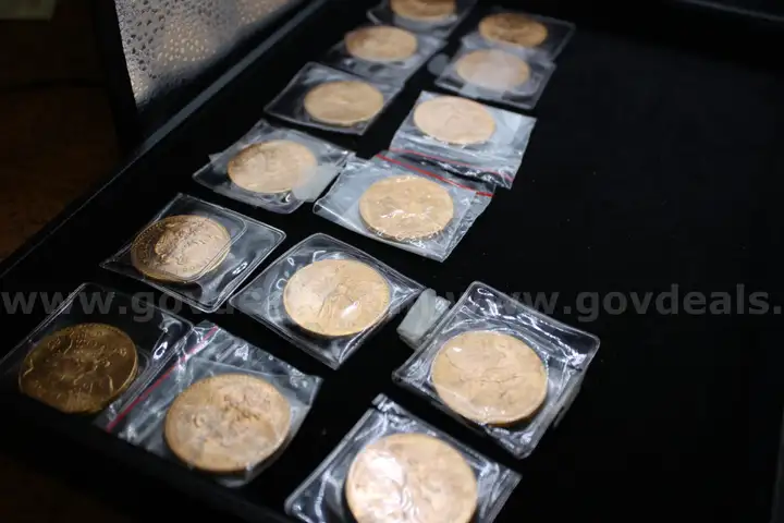 Gold tone Coins (14)