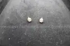 EARRING, PAIR (1)