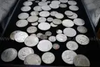 $1 COIN (30); HALF $ (12); QUARTER (1); DIME (8); NICKEL (4); PENNY (2)