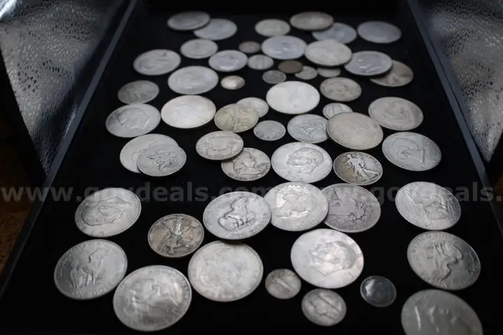 $1 COIN (30); HALF $ (12); QUARTER (1); DIME (8); NICKEL (4); PENNY (2)