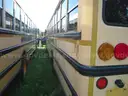 VARIOUS SCHOOL BUSES (FIVE (5) BUSES)