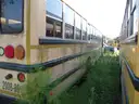 VARIOUS SCHOOL BUSES (FIVE (5) BUSES)