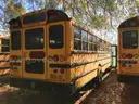VARIOUS SCHOOL BUSES (FIVE (6) BUSES)