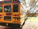 VARIOUS SCHOOL BUSES (FIVE (6) BUSES)