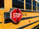 VARIOUS SCHOOL BUSES (FIVE (2) BUSES)