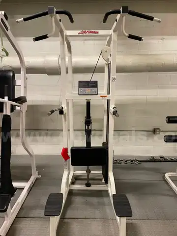 CHIN/ DIP ASSIST