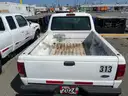 Ford Pickup Trucks, Qty. 12