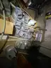 Lot of 20 Halogen Lights