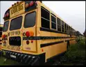 2009 Blue Bird All American 83 Passenger School Bus