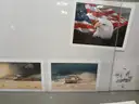 variety of prints