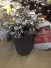 Aprox 100 used Golf clubs and bags
