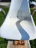 Lot (5)  Life Guard High Rise Chair Stands